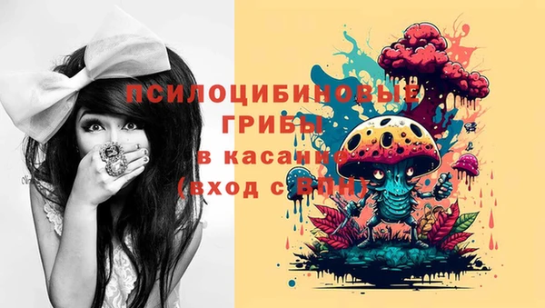 2c-b Абинск