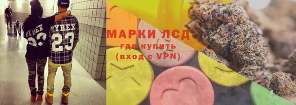 ECSTASY Пересвет